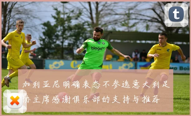 加利亚尼明确表态不参选意大利足协主席感谢俱乐部的支持与推荐
